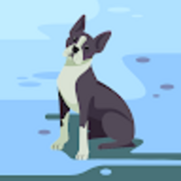 desmond_shew